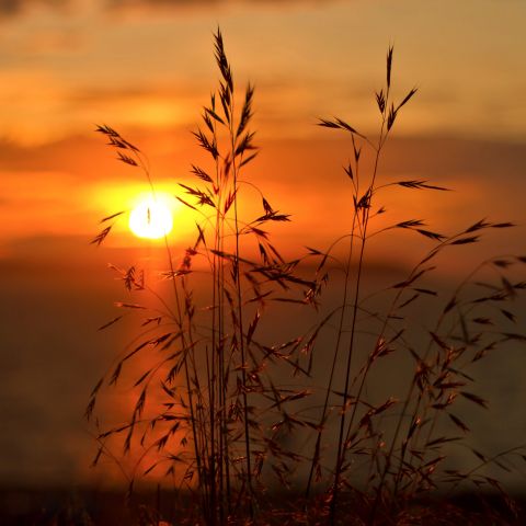 Рапсодия восхода на острове Бирючий. Окна в мир Василия Климова - фото 8