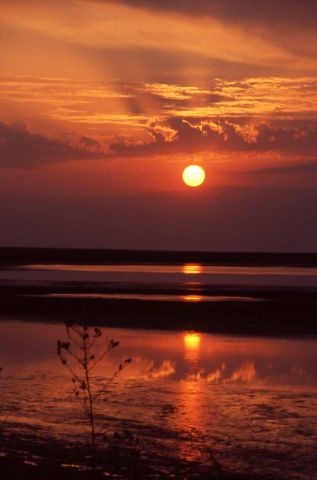 Рапсодия восхода на острове Бирючий. Окна в мир Василия Климова - фото 7
