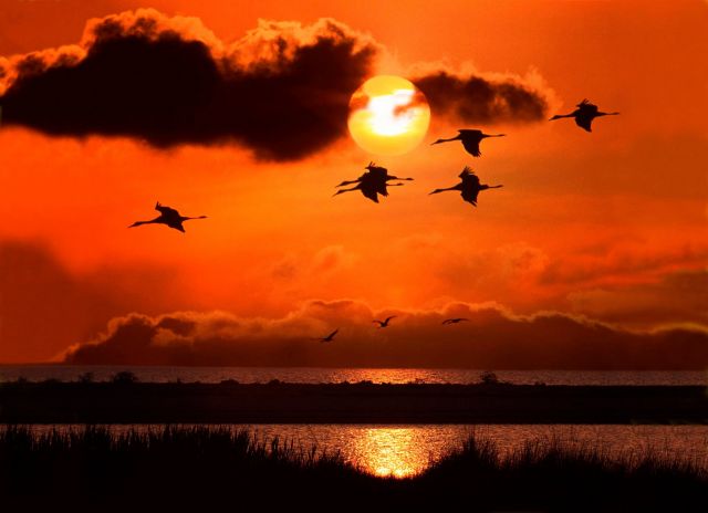 Рапсодия восхода на острове Бирючий. Окна в мир Василия Климова - фото 1