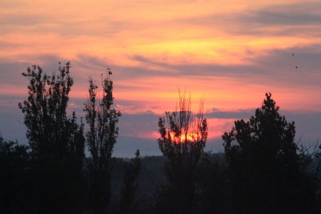 Рапсодия восхода на острове Бирючий. Окна в мир Василия Климова - фото 3