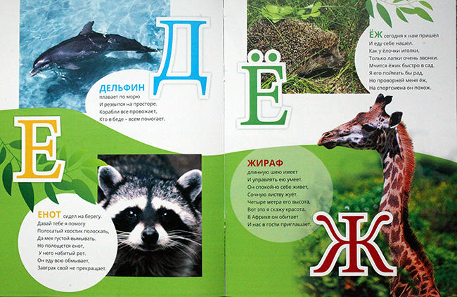Буквы и животные: что общего? – знает Василий Климов - фото 5