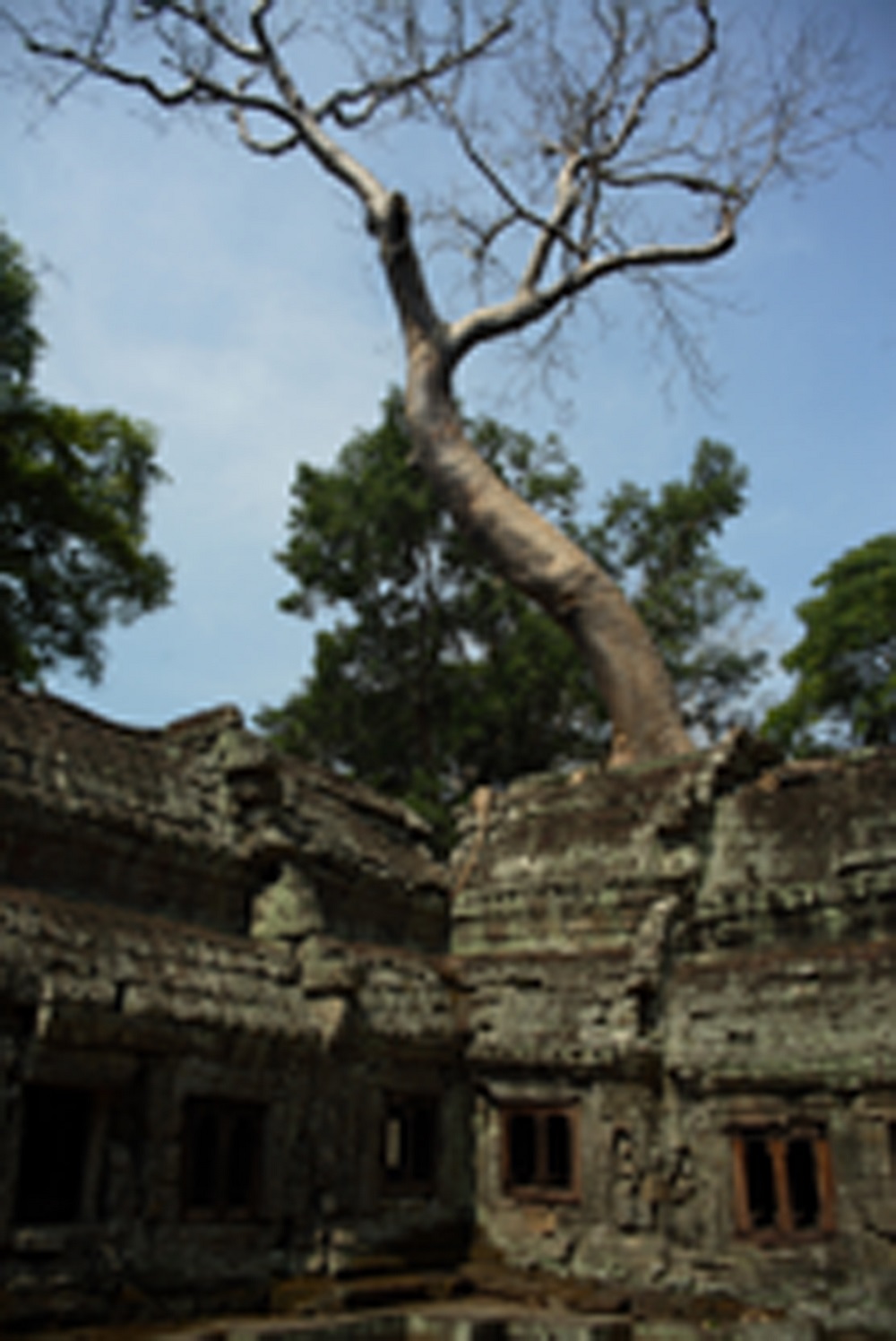   Приключения: Ангкор Ват — ужас и мистика древних. Храм древних богов кхмеров - фото 5