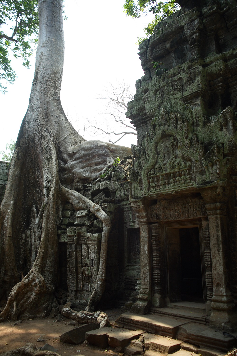   Приключения: Ангкор Ват — ужас и мистика древних. Храм древних богов кхмеров - фото 10