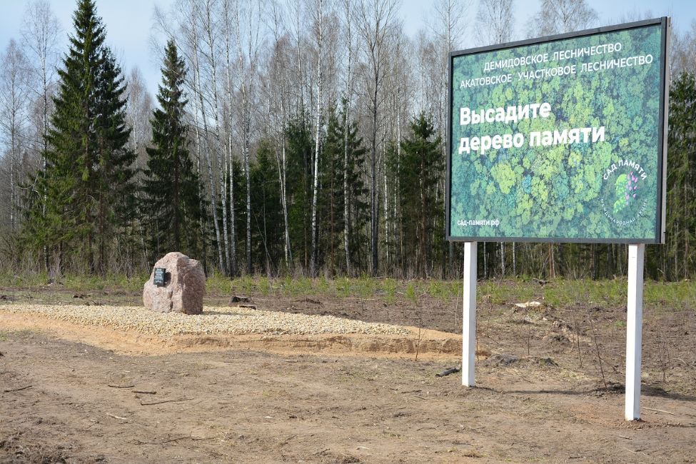 Мемориальные леса и геоглифы появились на Смоленщине в рамках акции «Сад памяти» - фото 1