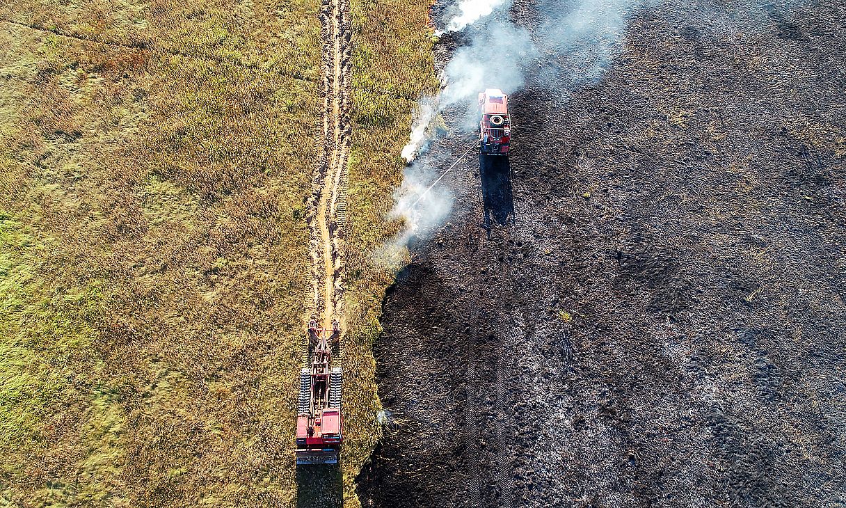 Подведены итоги пожароопасного сезона 2019 года в лесах Московской области - фото 1