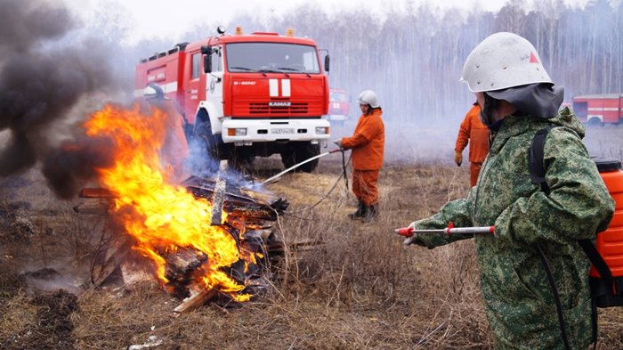 Сводный план тушения лесных пожаров на территории Орловской области 30 января направлен на согласование в Федеральное агентство лесного хозяйств - фото 1