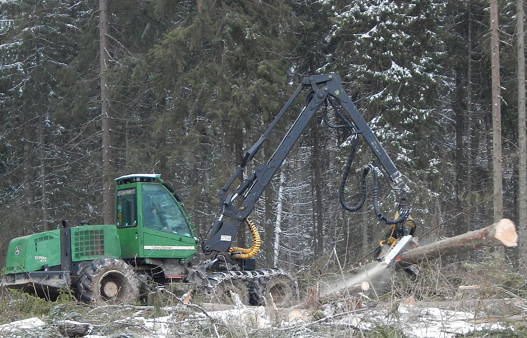 Рейды по выявлению нарушений при заготовке и транспортировке древесины прошли в Ярославской области - фото 1