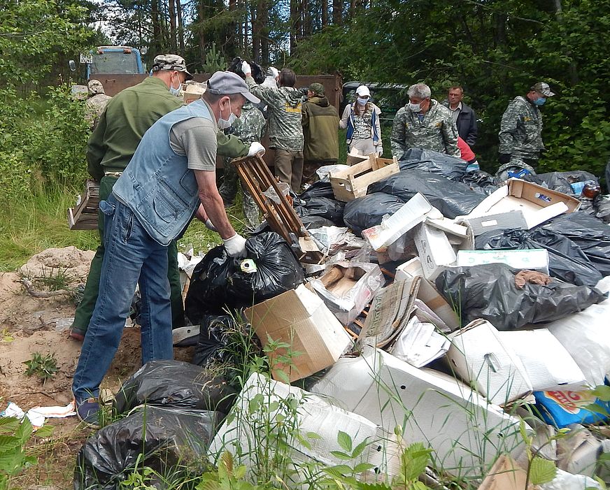 Акция «Очистим лес от мусора» прошла в Переславском лесничестве Ярославской области - фото 1