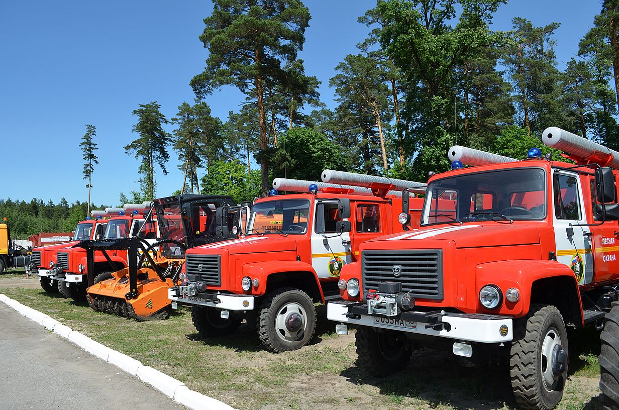Лесопожарные формирования Липецкой области ведут подготовку к пожароопасному сезону 2020 года в лесах - фото 1