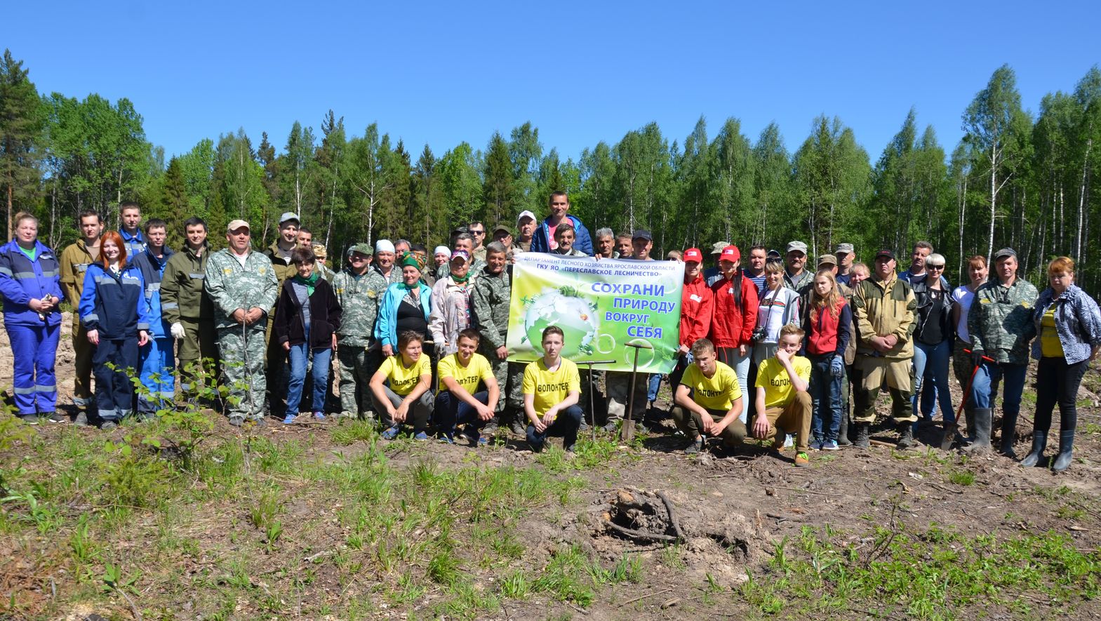 В Переславском районе Ярославской области прошел день посадки леса - фото 1