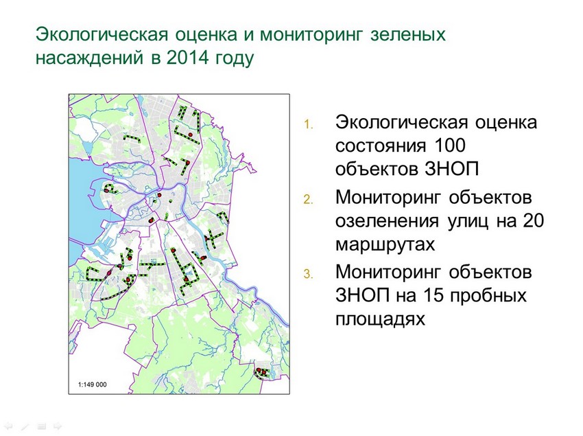 Экология Санкт-Петербурга: проблемы осознаны - фото 16