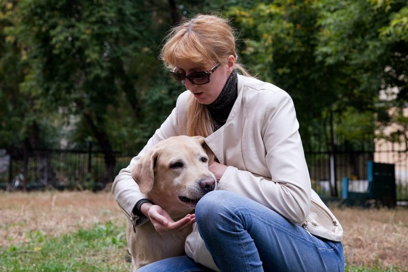 Глаза незрячих людей: в Новосибирске состоялась встреча Совета владельцев собак-проводников - фото 2