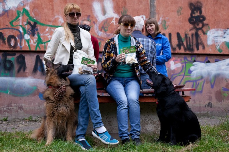 Глаза незрячих людей: в Новосибирске состоялась встреча Совета владельцев собак-проводников - фото 5