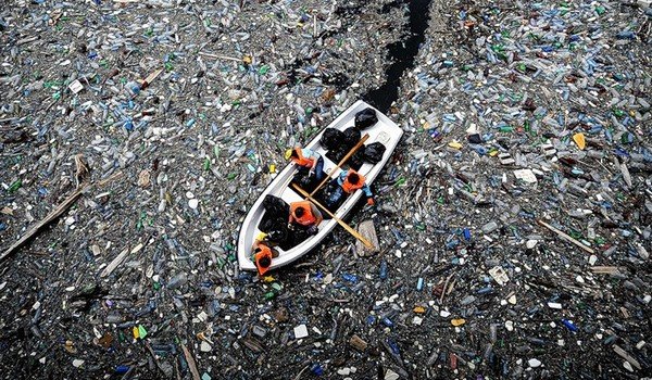 Пластиковые отходы в пищевой цепочке: рыба, мусор, мировой океан - фото 1