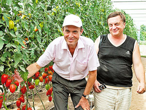 Как заработать миллионы на помидорах - фото 1