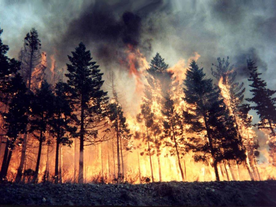 Командир «Добровольческого корпуса Байкала» Андрей Бородин рассказал «ЭкоГраду» о ситуации с пожарами в Бурятии - фото 1