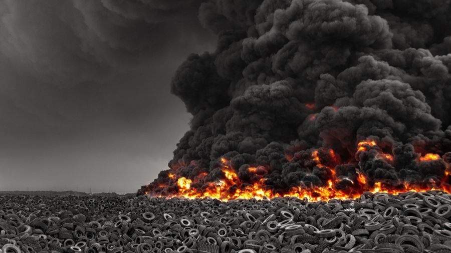Джордж ЛАВРАДОР: Политики разжигают шины и рознь к социальной группе несортирующих мусор. Безгласная природа и безответный электорат - фото 11