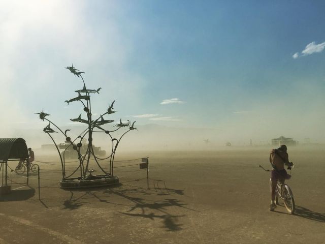 Аутодафе-драйв во славу свободы. Юбилей Burning Man - фото 18