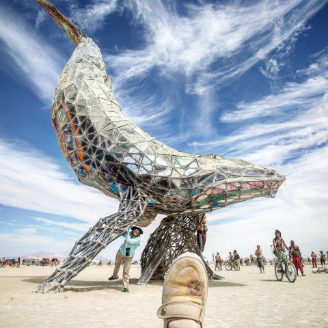 Аутодафе-драйв во славу свободы. Юбилей Burning Man - фото 22