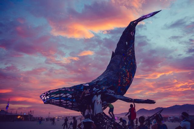 Аутодафе-драйв во славу свободы. Юбилей Burning Man - фото 32