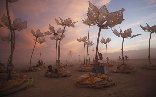 Дэвид Боуи остался на Burning Man - фото 1