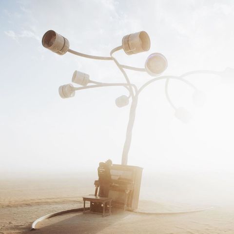 Аутодафе-драйв во славу свободы. Юбилей Burning Man - фото 84