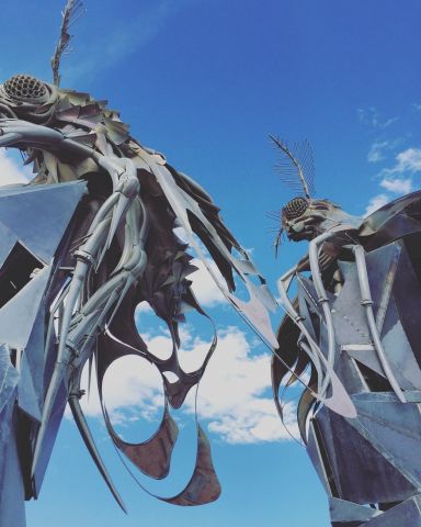 Аутодафе-драйв во славу свободы. Юбилей Burning Man - фото 94