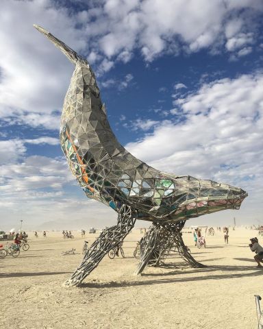 Аутодафе-драйв во славу свободы. Юбилей Burning Man - фото 96