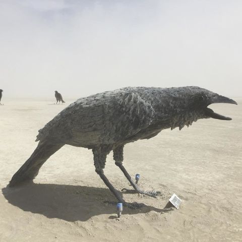 Аутодафе-драйв во славу свободы. Юбилей Burning Man - фото 117