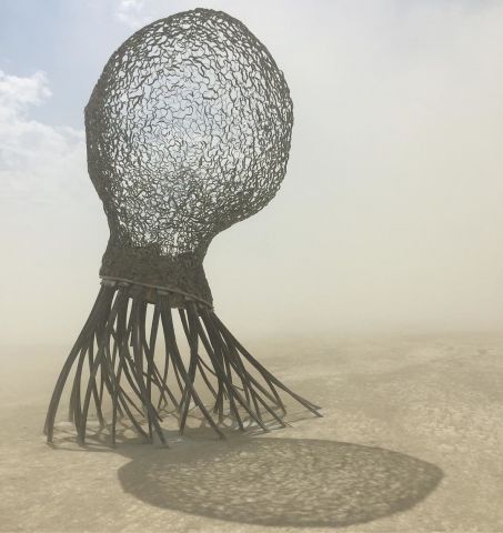 Аутодафе-драйв во славу свободы. Юбилей Burning Man - фото 118