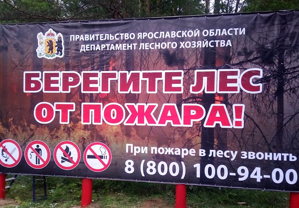 Сотрудники Большесельского лесничества продолжают работу по противопожарной пропаганде среди населения Ярославской области - фото 1