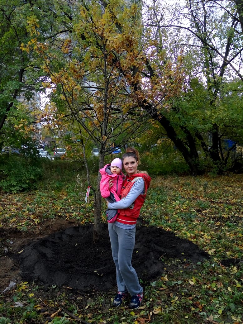Акция "Наше дерево" стартовала в Москве  - фото 6