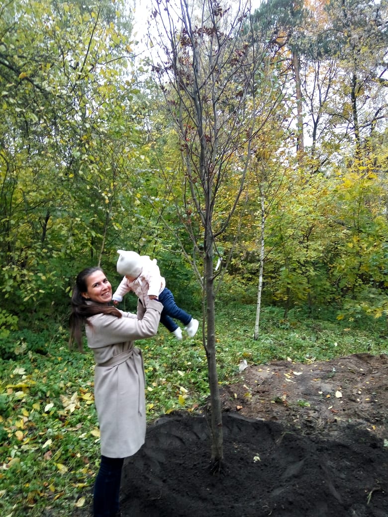 Акция "Наше дерево" стартовала в Москве  - фото 5