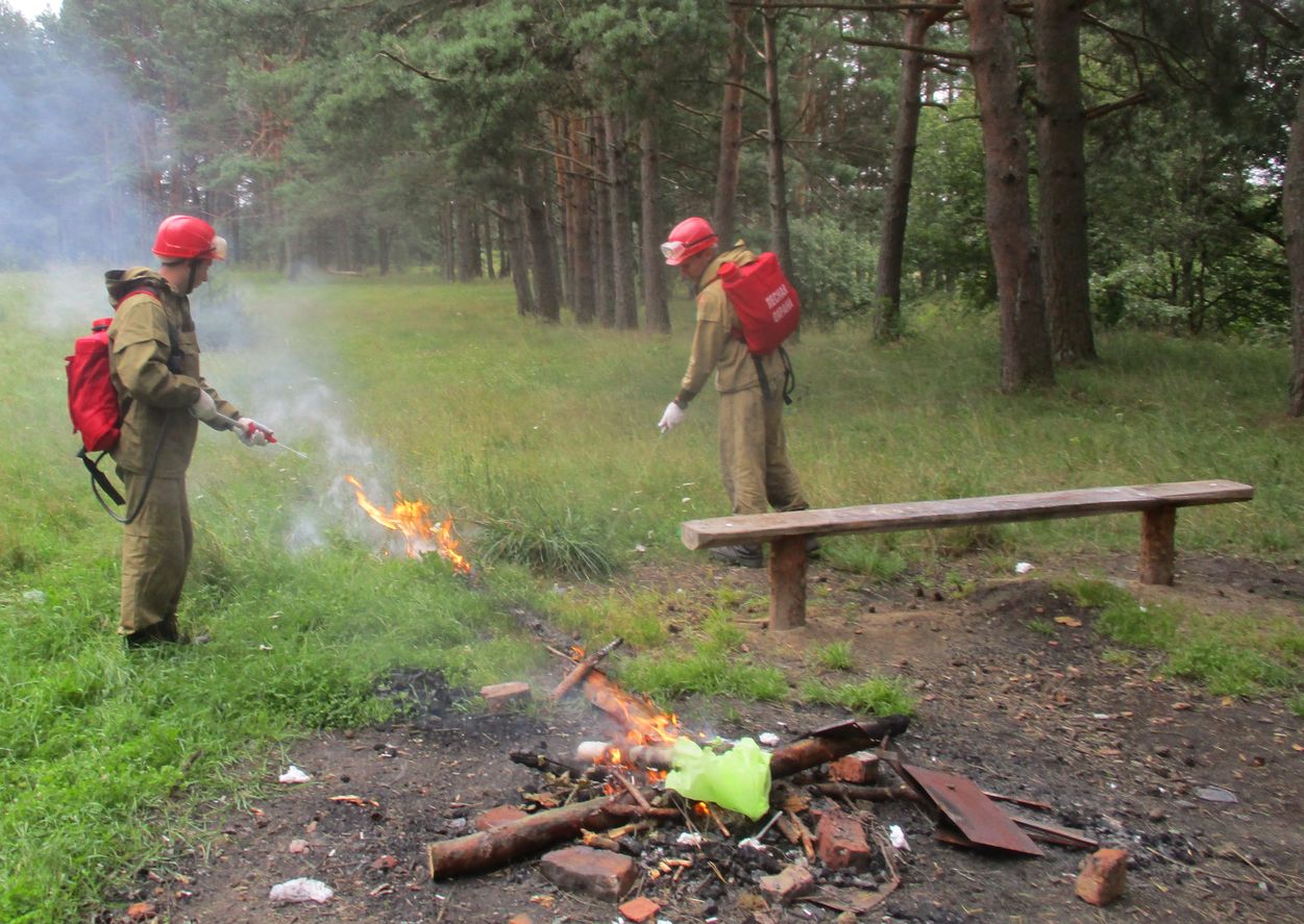 Профилактика лесных пожаров на Смоленщине - фото 1