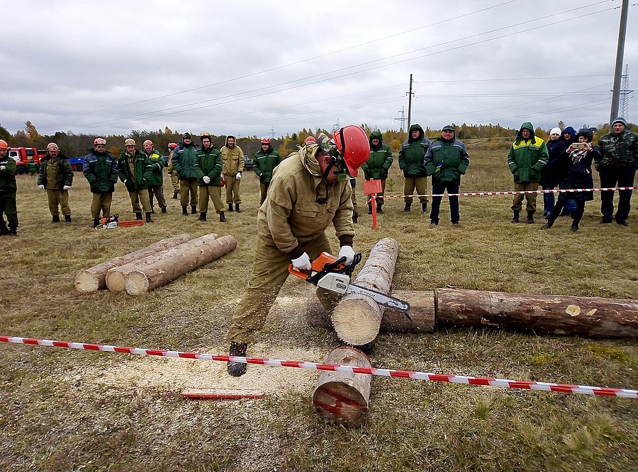В Смоленске прошли ежегодные соревнования лесных пожарных - фото 1