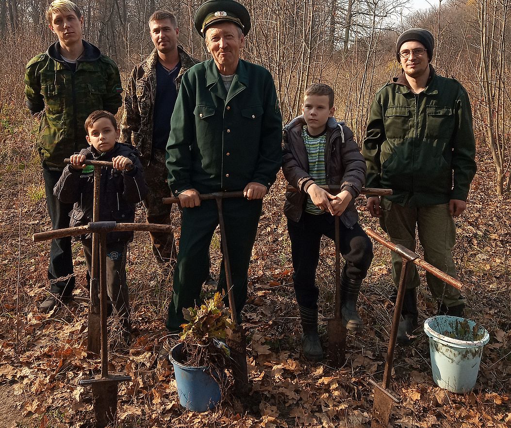Участники кампании «Сохраним лес» посадили дуб в Бутурлиновском лесничестве - фото 1