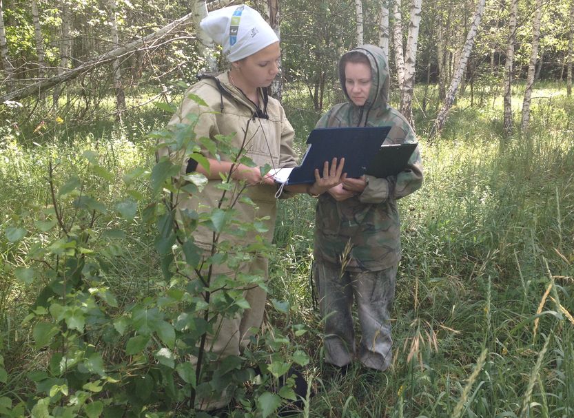 В Липецкой области проводится мониторинг воспроизводства лесов - фото 1