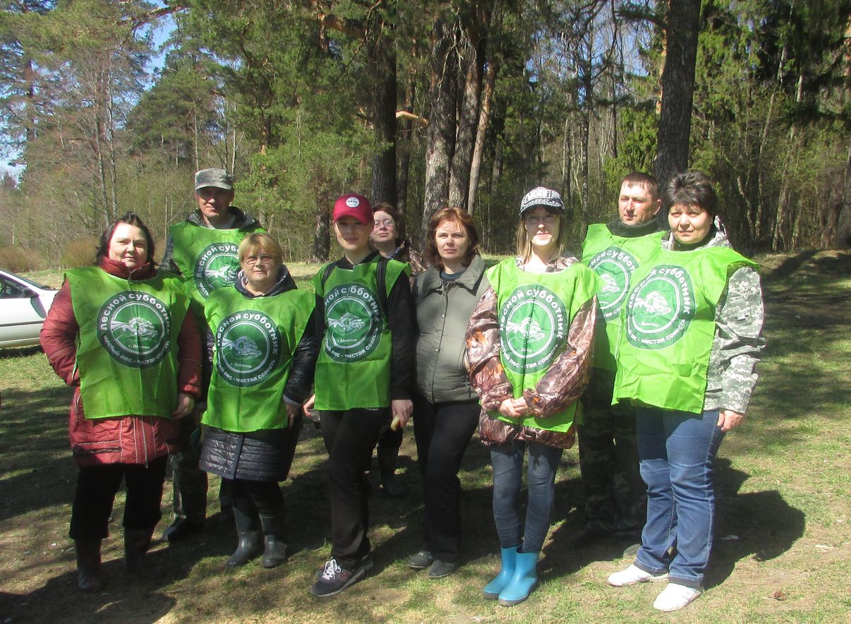 В Ярославской области состоялся лесной субботник в рамках акции «Очистим лес от мусора» - фото 1