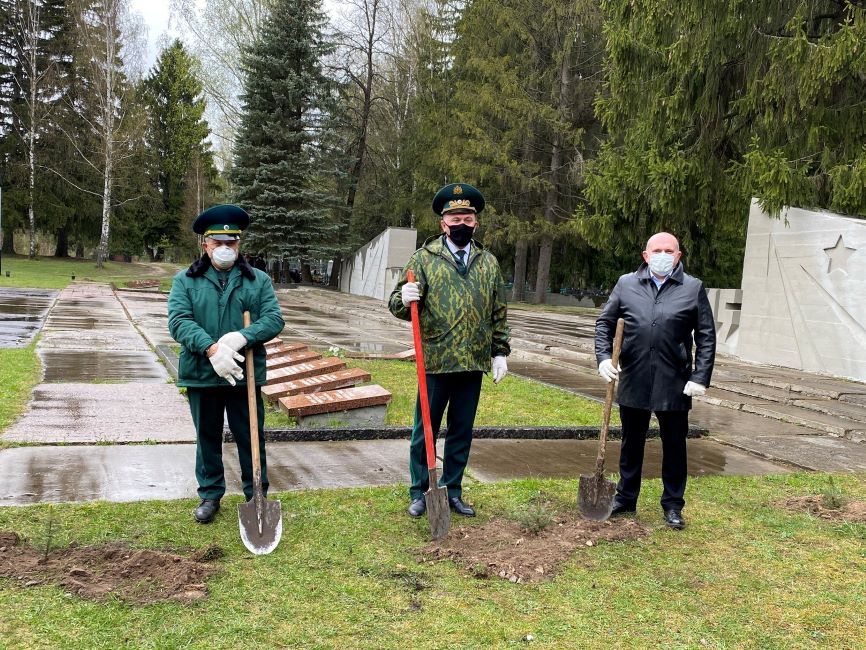 «Сад памяти» появился в Дятьковском районе Брянской области - фото 1