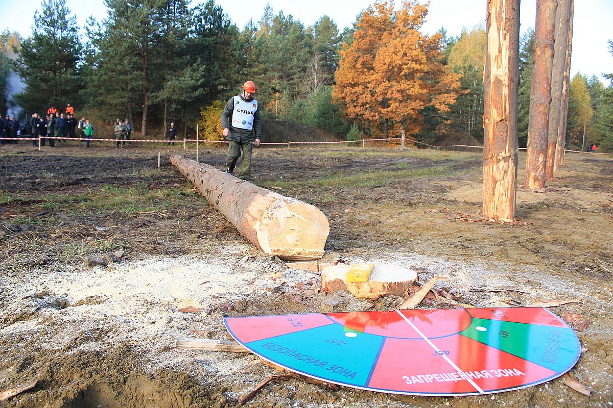 Состоялся открытый V Чемпионат Брянской области среди вальщиков леса «Лесоруб-2019» - фото 1