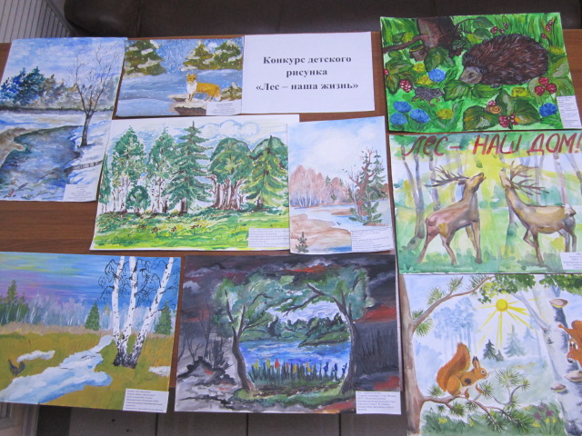 Комитетом лесного хозяйства Курской области подведены итоги конкурса детского рисунка - фото 1