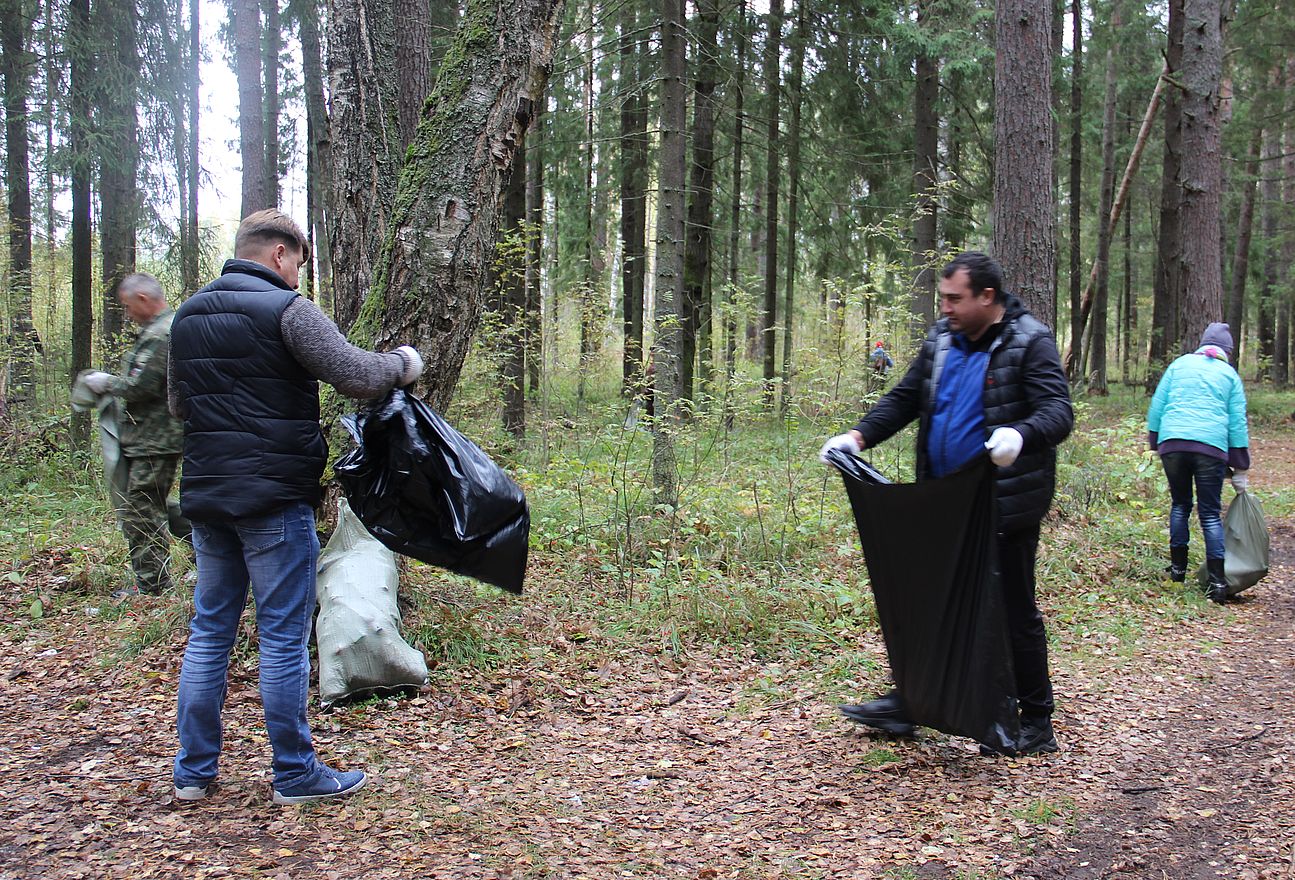 В Ярославской области в рамках акции «Очистим лес от мусора» убрано более 1700 кубометров отходов - фото 1