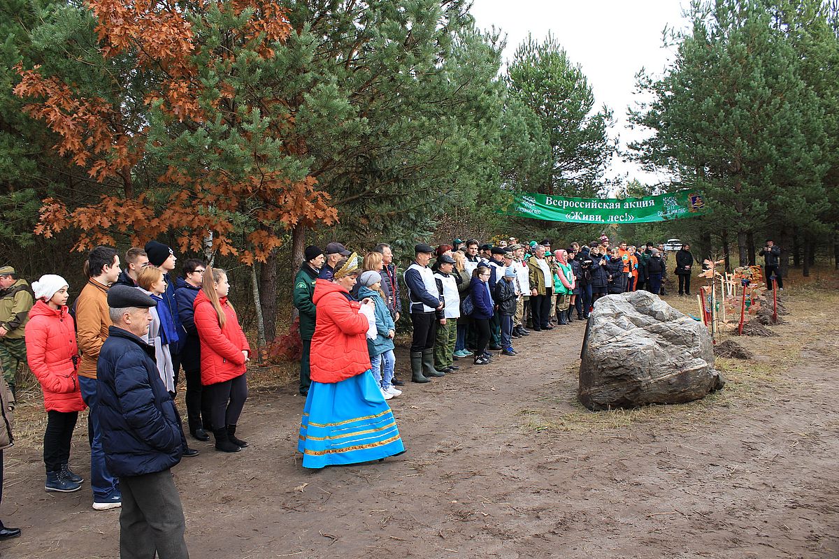На Брянщине состоялось центральное мероприятие кампании «Сохраним лес» и Всероссийской акции «Живи, лес!» - фото 1