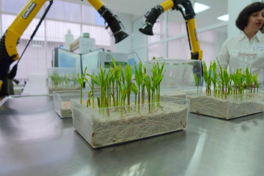 Инновационный агропромышленный биокластер создадут в Ставрополье - фото 1