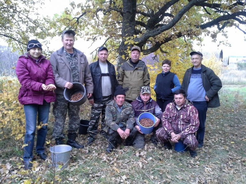 В Воронежской области подведены итоги экологической акции «Живи, лес!» - фото 1
