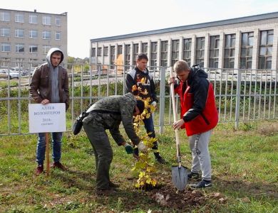 В Рязанской области подведены итоги Всероссийской осенней акции «Живи, лес!» - фото 1