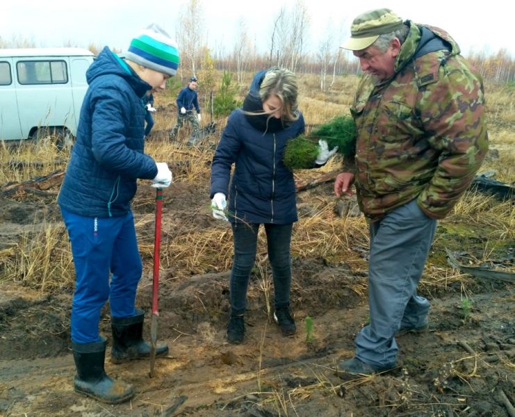 В Рязанской области подведены итоги Всероссийской осенней акции «Живи, лес!» - фото 2