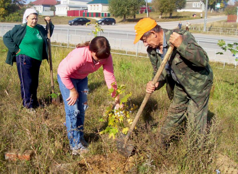 В Рязанской области подведены итоги Всероссийской осенней акции «Живи, лес!» - фото 3