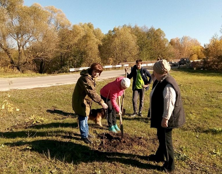 В Рязанской области подведены итоги Всероссийской осенней акции «Живи, лес!» - фото 5