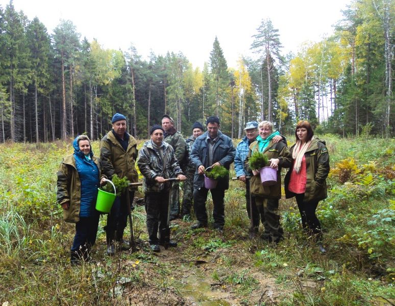 В Рязанской области подведены итоги Всероссийской осенней акции «Живи, лес!» - фото 8